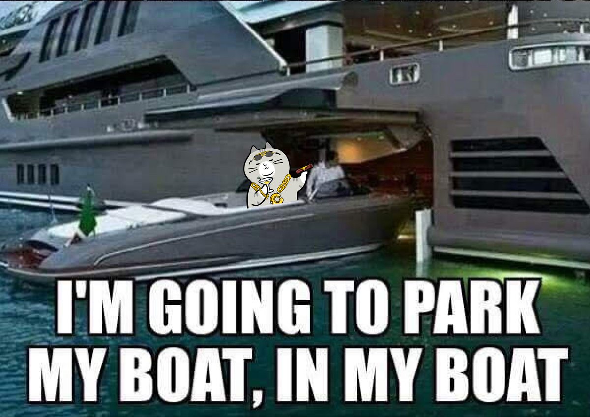 catonyacht tweet picture