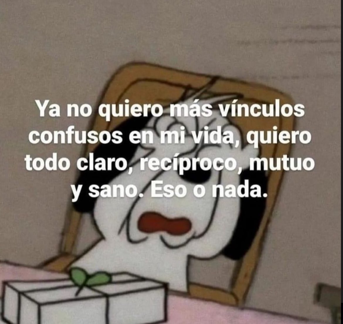 Racoon (@imsracoon) on Twitter photo 