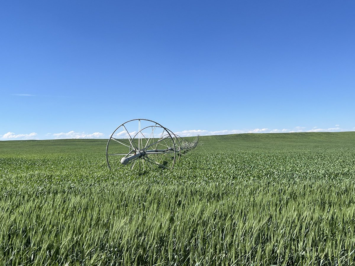 JumpyGarbage's tweet photo. #adventuresinag https://t.co/Y9qhasYX1H