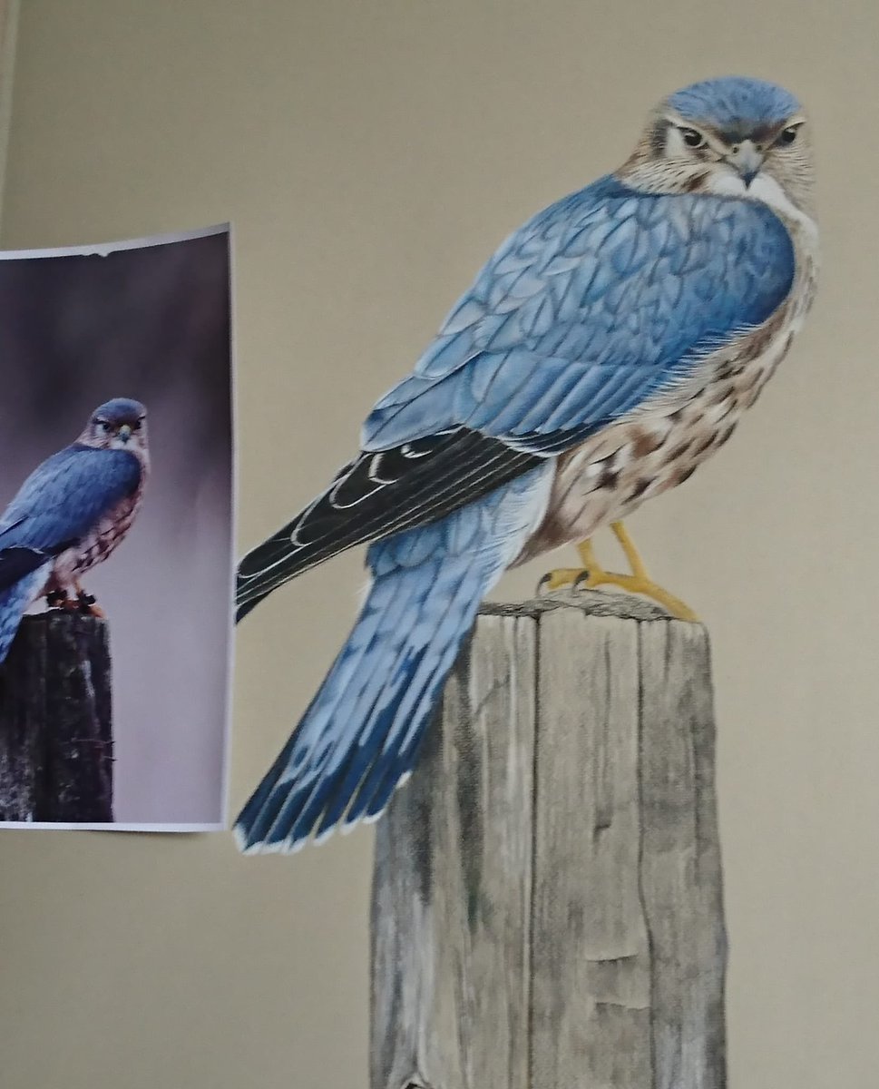 #ArtistFeature Denise Dooley enjoys creating beautiful functional &amp; decorative ceramics. 

Living here for many years she recently taught pottery at a local FE College. Denise is an accomplished animal artist. More recently dabbling in abstract watercolours.
#LedByArtists