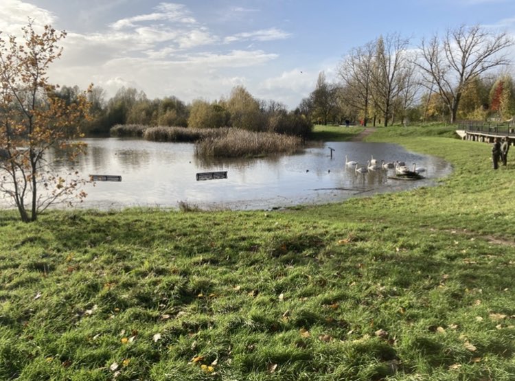 Happy 20th Birthday Sutcliffe Park!

On 12 June 2004, the park reopened with the restored #RiverQuaggy and a woodland wetland habitat that helps cut flood risk to homes by storing storm water.

How did we - QWAG - get this done? qwag.org.uk/river-quaggy/r… 

#RiverRestorationWorks