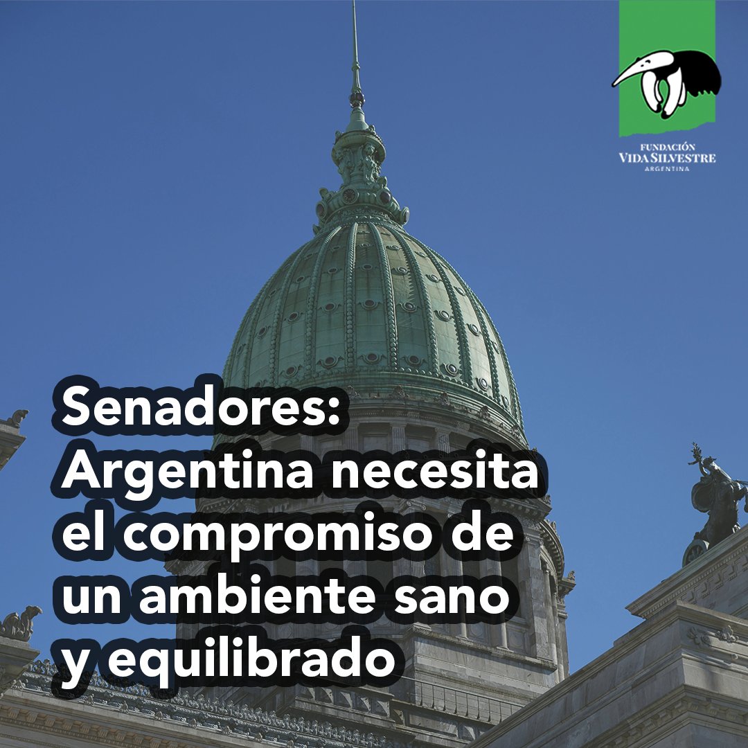 Vida_Silvestre's tweet photo. Argentina necesita el compromiso de un ambiente sano y equilibrado. Las propuestas legislativas que se buscan aprobar hoy en el Senado ponen en riesgo los pilares del compromiso de nuestro país con el ambiente. https://t.co/TOrMXnw7Kt
