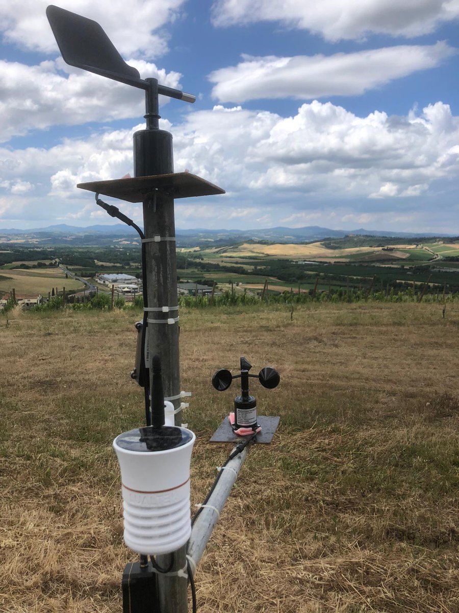 lualtek's tweet photo. We’re thrilled to announce a new activation at Parmoleto farm in #Grosseto! With 100+ years in #wine and #olive oil, Parmoleto now uses Lualtek for efficient environmental monitoring: wind, rain, temp, humidity, dew point, vapor pressure deficit. Ensuring #sustainable production. https://t.co/gw67Muqu6l