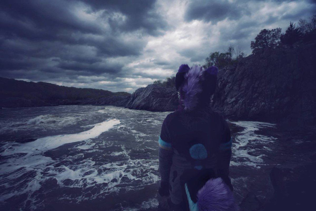 KizmaHusky tweet picture