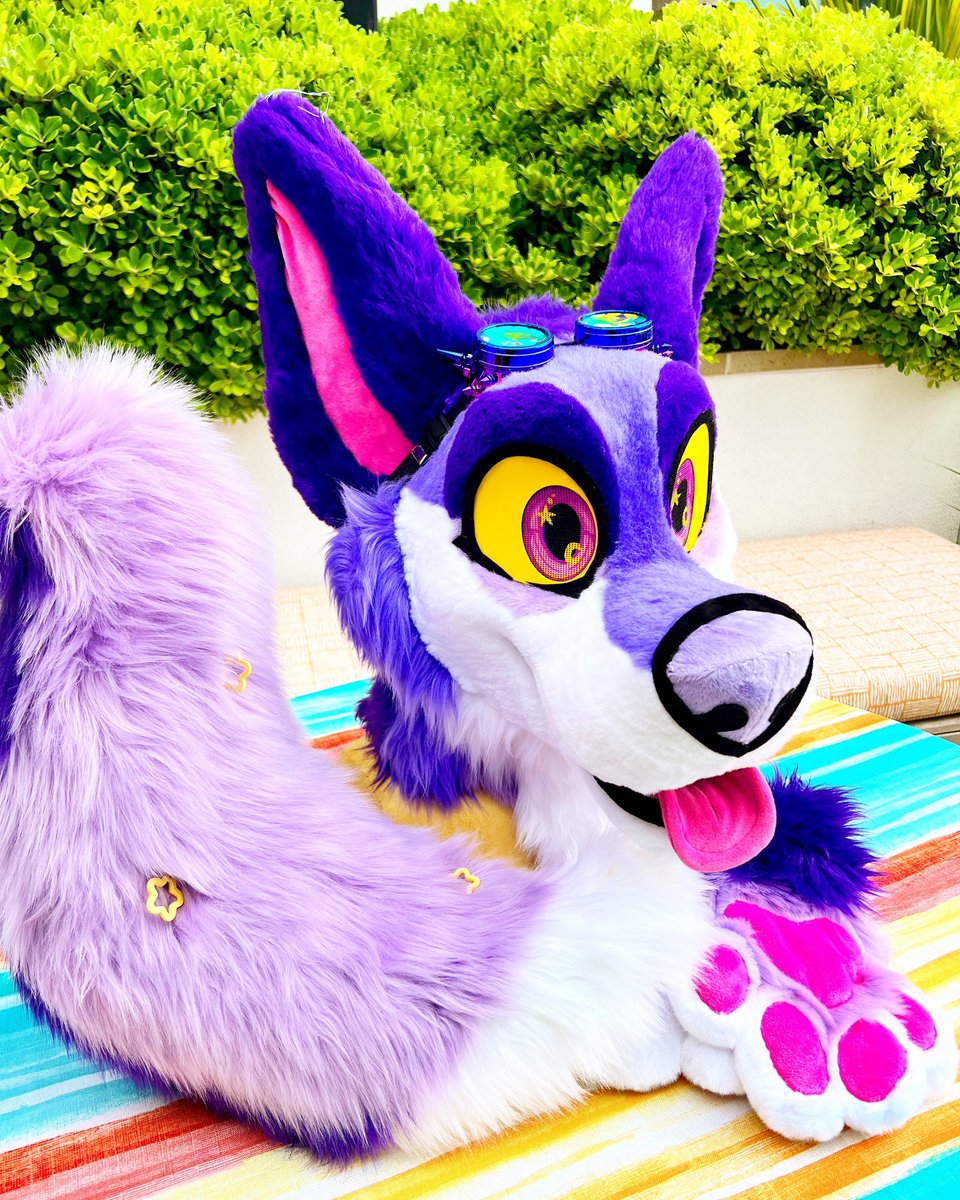 Both of these partials (head, paws, tail; fully lined head, HQ suits) are available!!!

ONLY l5OO EACH!!

Both come with 2 month fix-it w/arra/nty, a collar, plush prop, and accessories!! MY LOSS IS YOUR GAIN

‼️💕PLEASE RETWEET AND SHARE, I SUPER APPRECIATE IT AND I LOVE U💕‼️