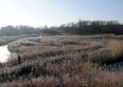 Railway Land Wildlife Trust tweet media