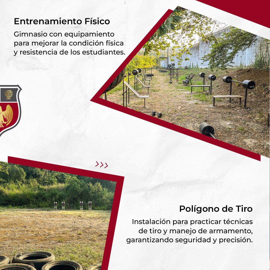 IESSE | Academseg Cia. Ltda. tweet media