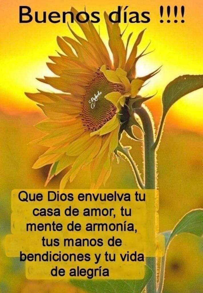 Dolores Cruz (@dolores54c) on Twitter photo 