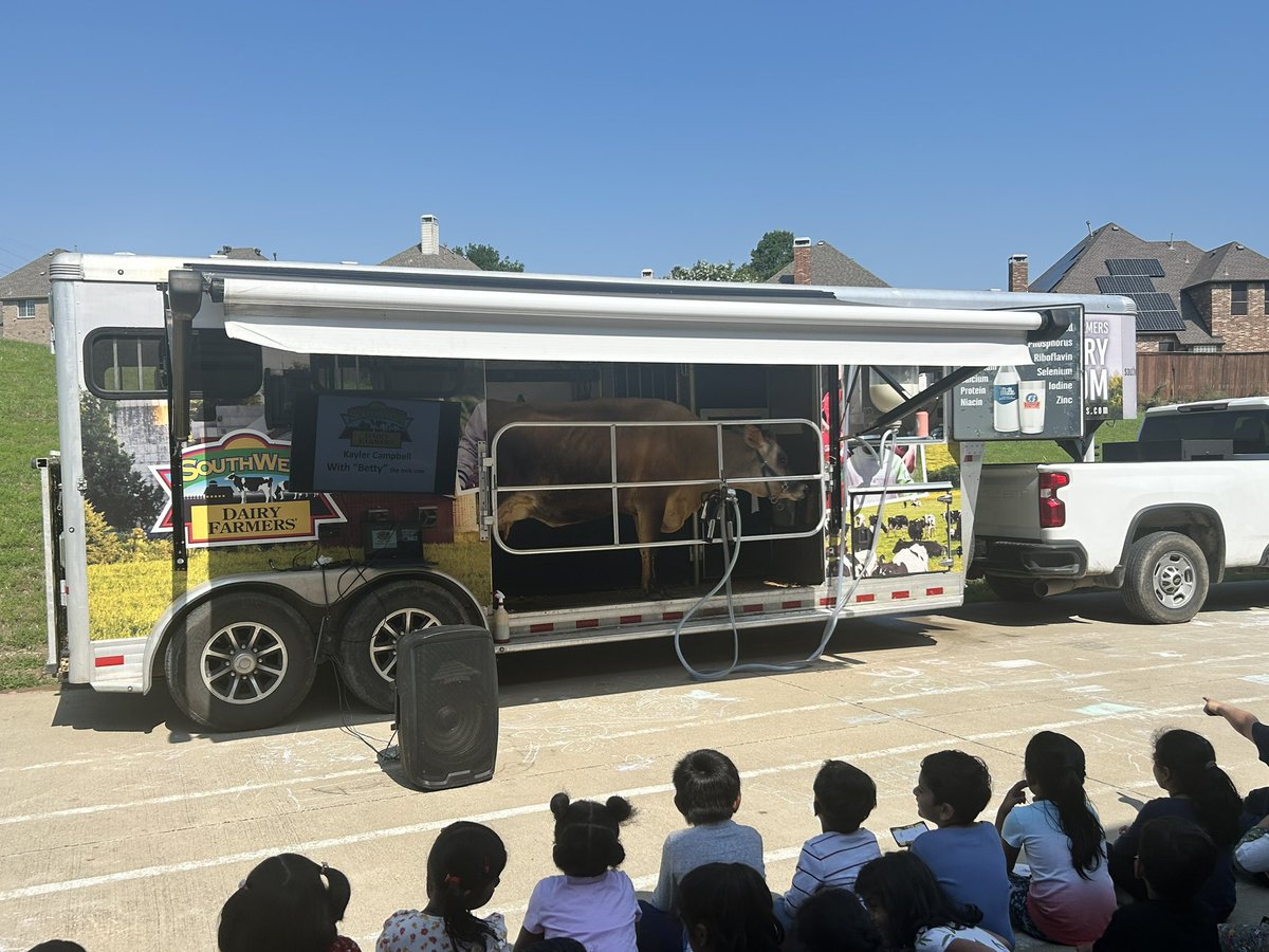 We got to learn all about cows at Learning the Language today! Thank you, Southwest Dairy Farmers! <a href="/CFBISD/">Carrollton-Farmers Branch ISD</a>