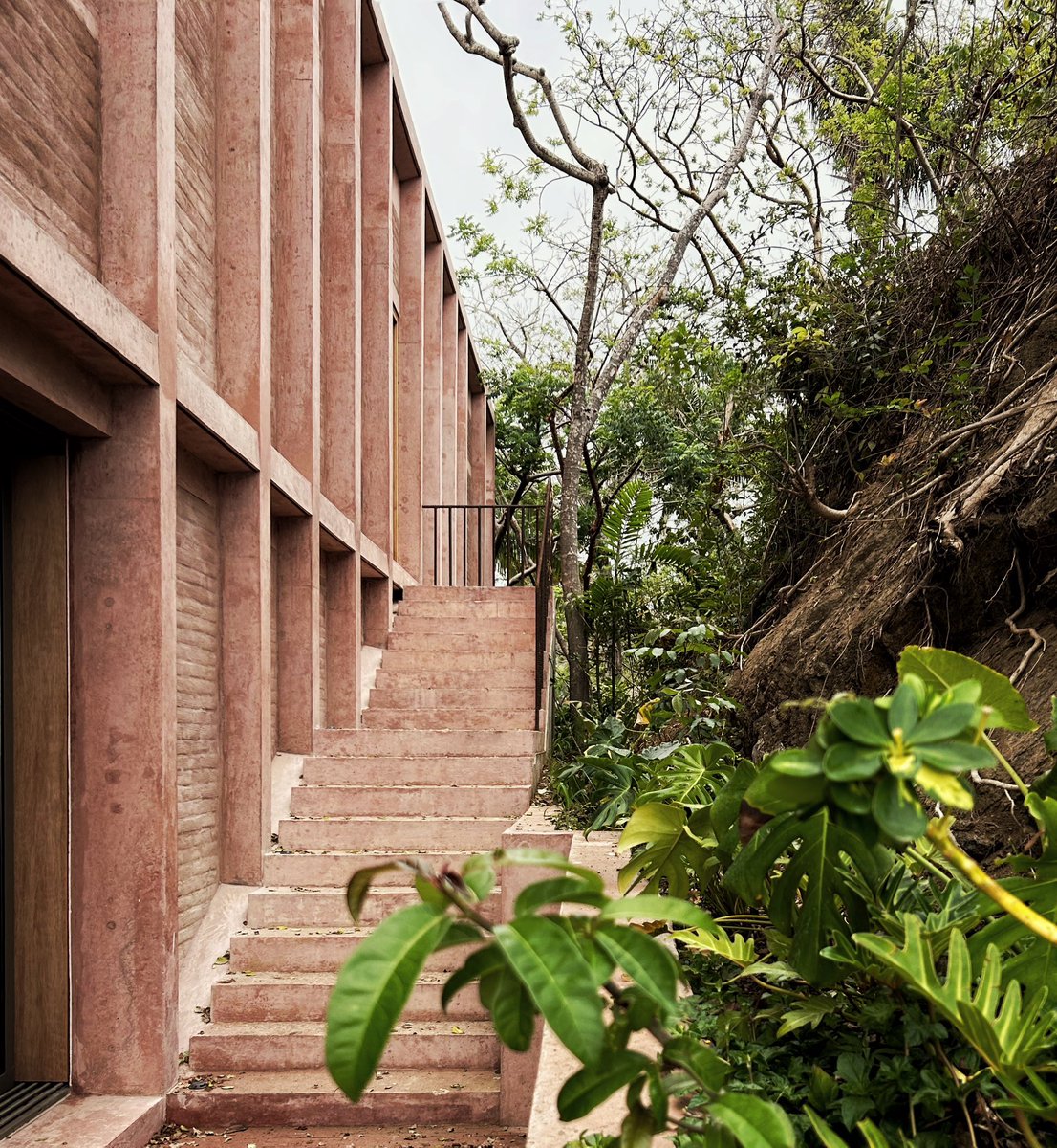 Manuel Cervantes Estudio tweet media