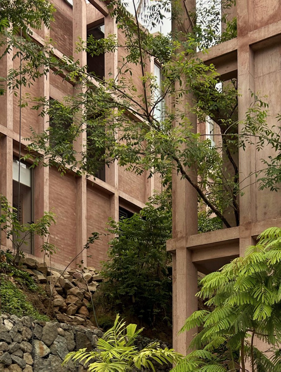 Manuel Cervantes Estudio tweet media