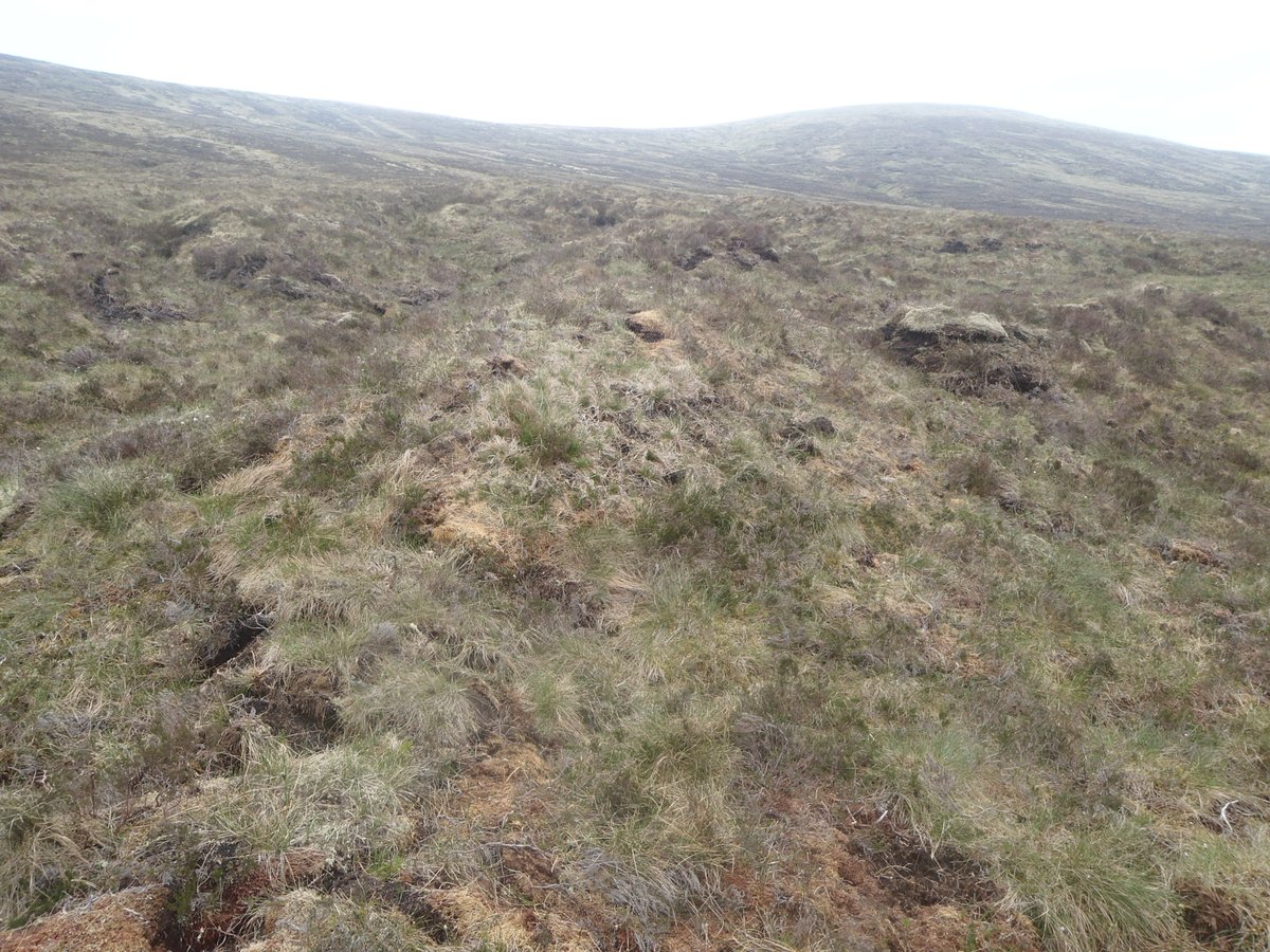 Watts_SH's tweet photo. Bare #peat be gone! Two sets of before/after photos of #peatland #restoration at #Corrour; showing pre restoration condition in comparison to 1 year post restoration. This site is above 550m altitude, with work by @DalefootCompost supported by @PeatlandACTION @NatureScot https://t.co/BTsPRxNlgq