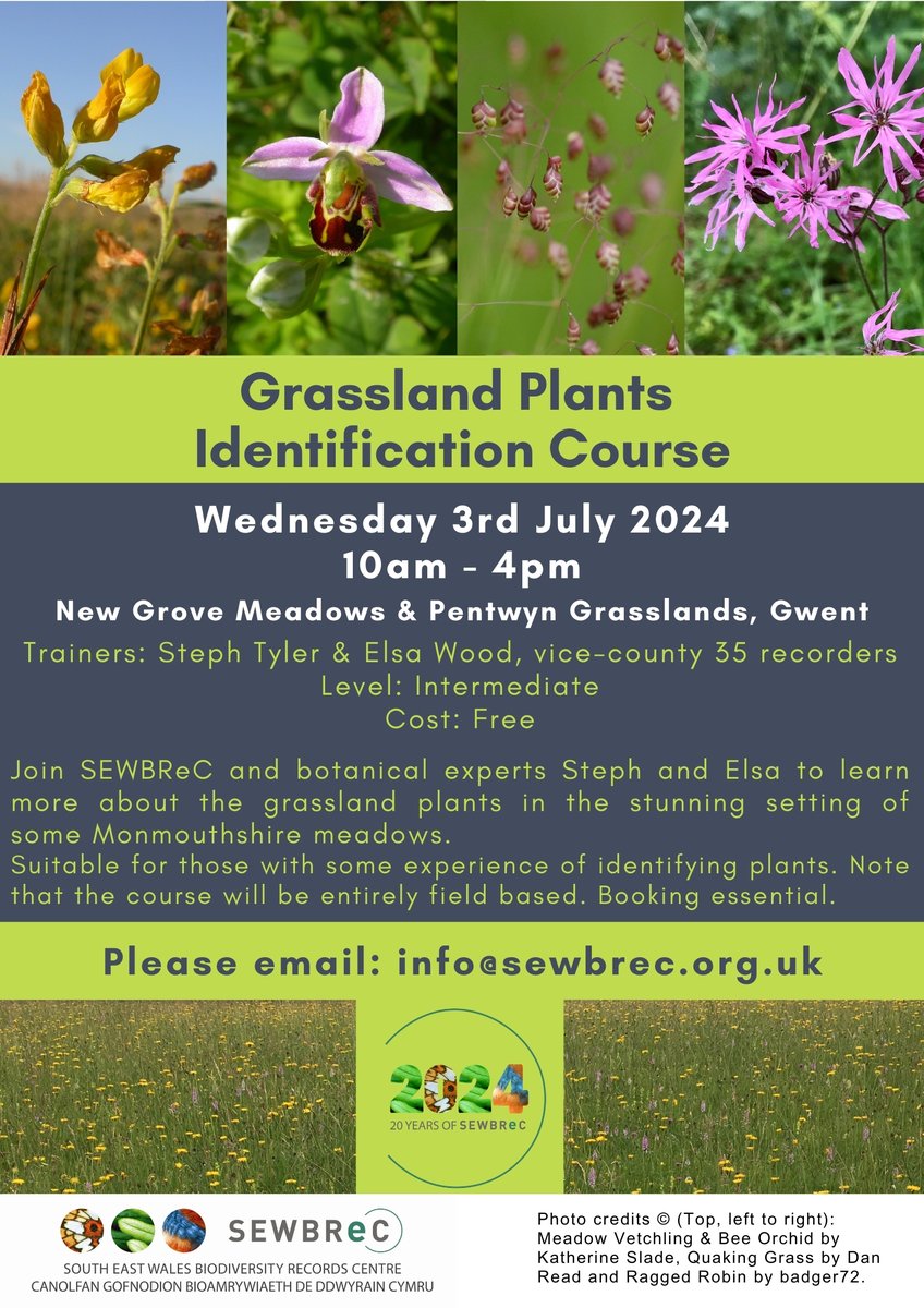 New species identification course open for booking!
SEWBReC is running a free Grassland Plants Identification Course on Wed 3rd July. 
Come learn from Vice County Recorders Steph Tyler and Elsa Wood in some beautiful Monmouthshire meadows. 
Email info@sewbrec.org.uk to book.