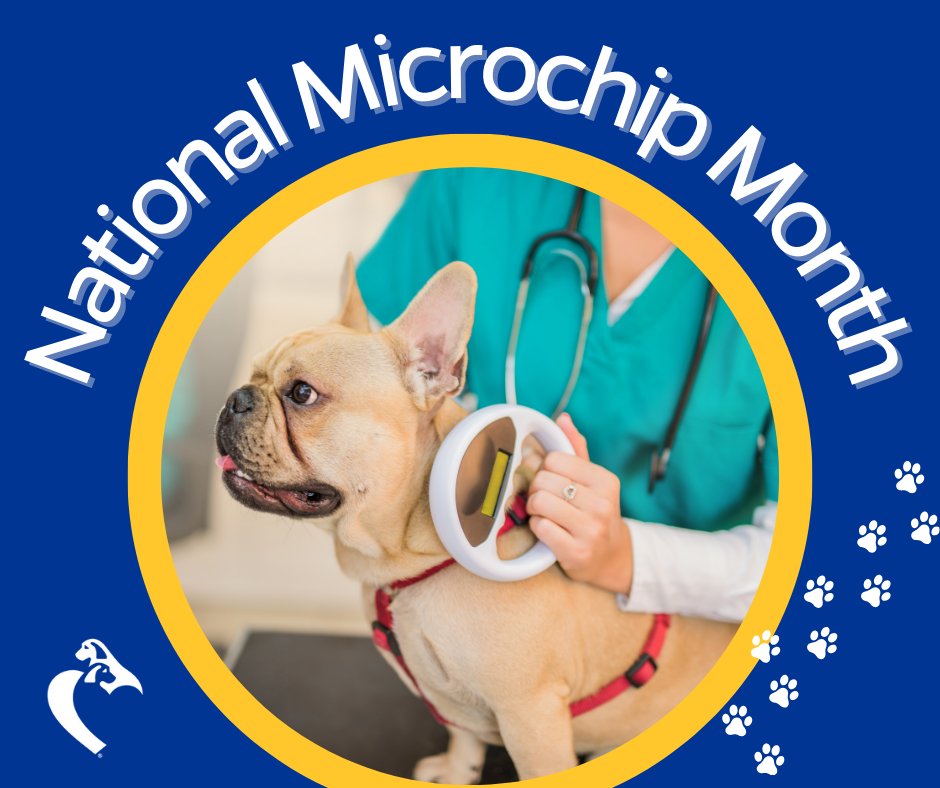 AKCCanineHealth's tweet photo. June is National Microchip Month! Microchipped dogs are twice as likely to return to their family if lost or stolen. Remember to chip your pet(s) and keep your contact information up to date.
#checkthechip https://t.co/738m32krPg