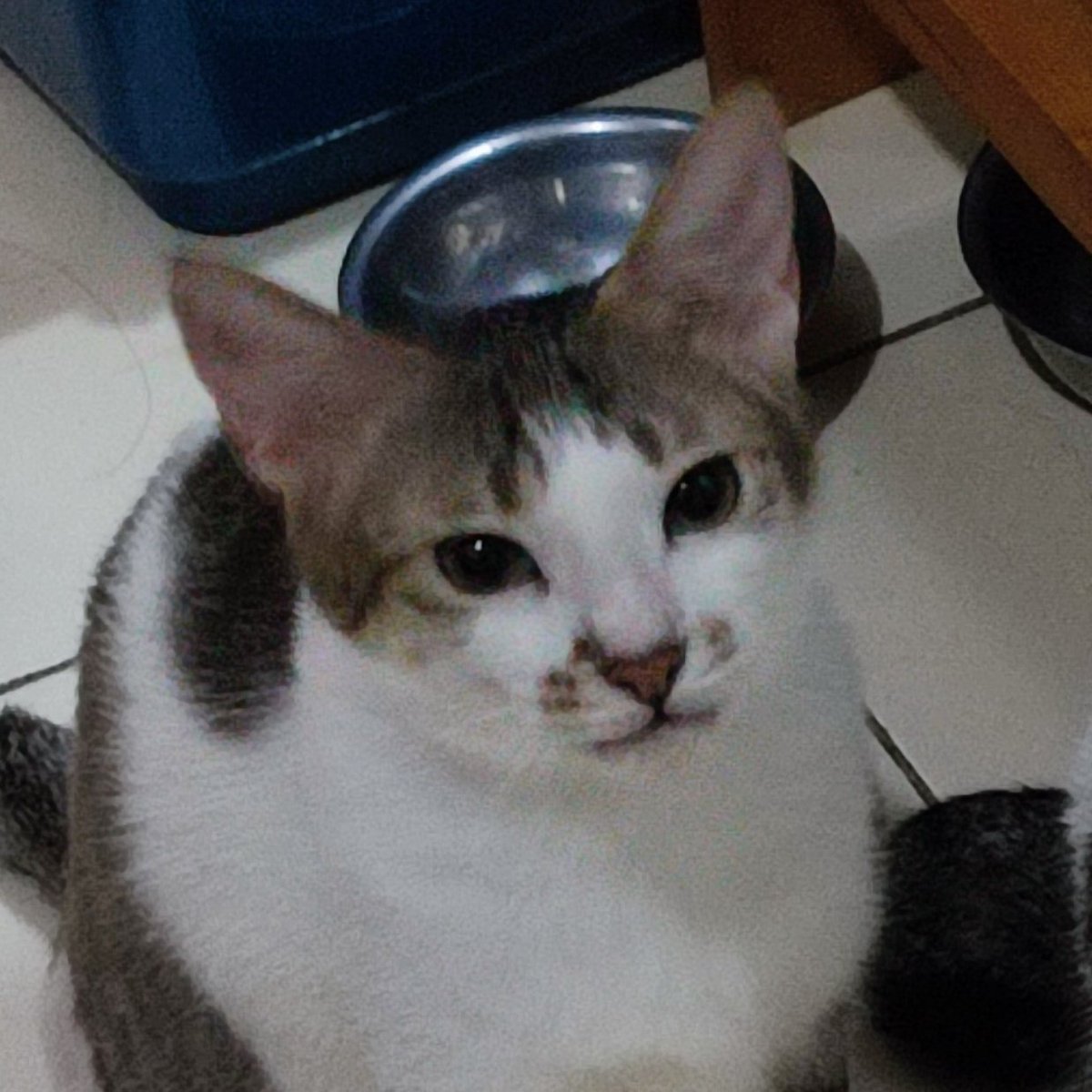 😾,, 

Karina,,                            Karinun,,