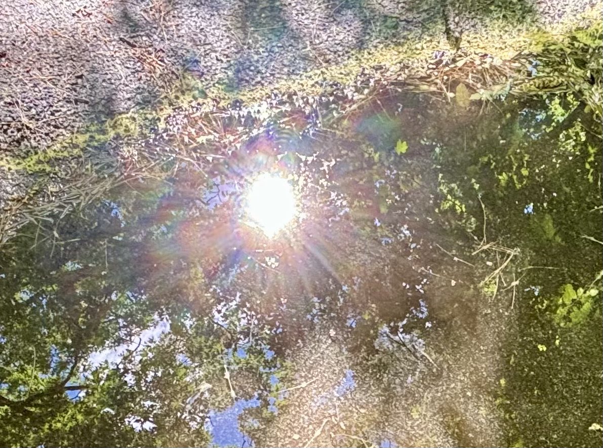 CDanaherH's tweet image. Tell me, what’s #profane?
If something #tacky grabs
my heart the same
way as what is sacred,
who’s to say
what’s golden can’t be found
as readily in Heaven
as the ground?
#vsspoem
#vss365 
#poem
#poetry
#profanity