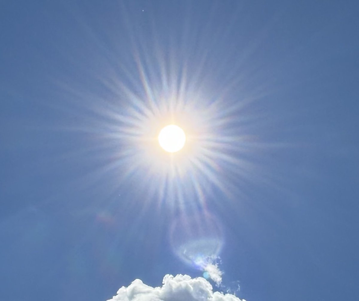 CDanaherH's tweet image. Tell me, what’s #profane?
If something #tacky grabs
my heart the same
way as what is sacred,
who’s to say
what’s golden can’t be found
as readily in Heaven
as the ground?
#vsspoem
#vss365 
#poem
#poetry
#profanity