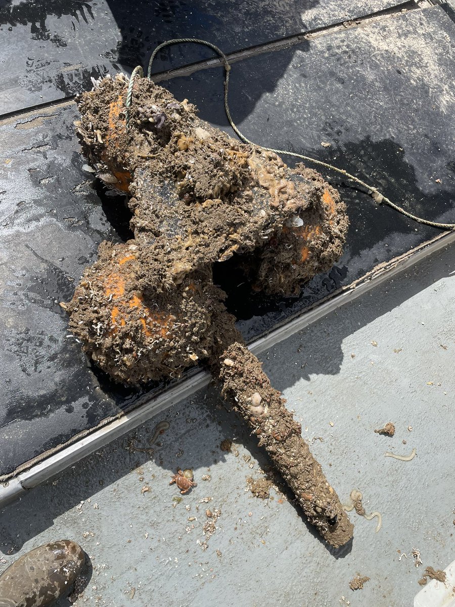 ThomasStamp's tweet image. Great few days servicing Pollack FISP @Innovasea fish tracking receiver network plus @CheloniaLtd FPODs across Lyme bay! #trackingnotslacking @PlymUni @Dr_Emma_Sheehan @ronanconlon19 @Pete_Davies1 @AHall_Marine