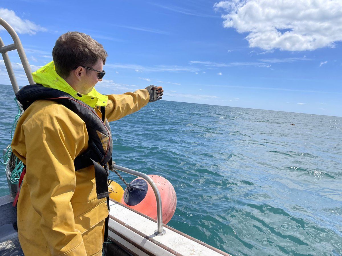 ThomasStamp's tweet image. Great few days servicing Pollack FISP @Innovasea fish tracking receiver network plus @CheloniaLtd FPODs across Lyme bay! #trackingnotslacking @PlymUni @Dr_Emma_Sheehan @ronanconlon19 @Pete_Davies1 @AHall_Marine
