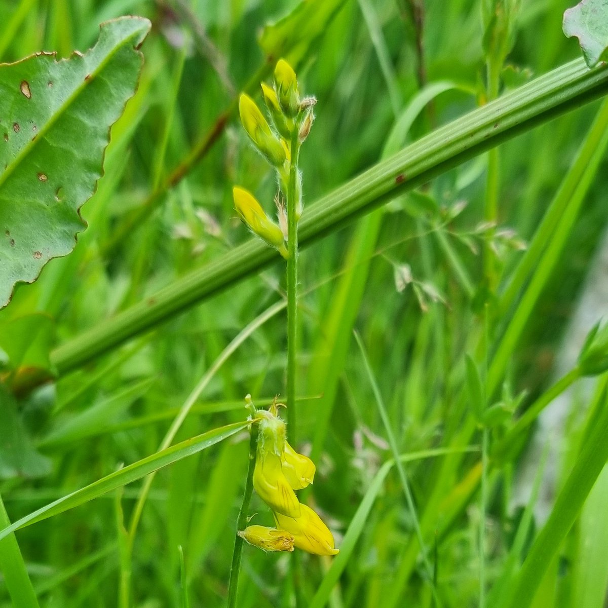 Becky Ward tweet media