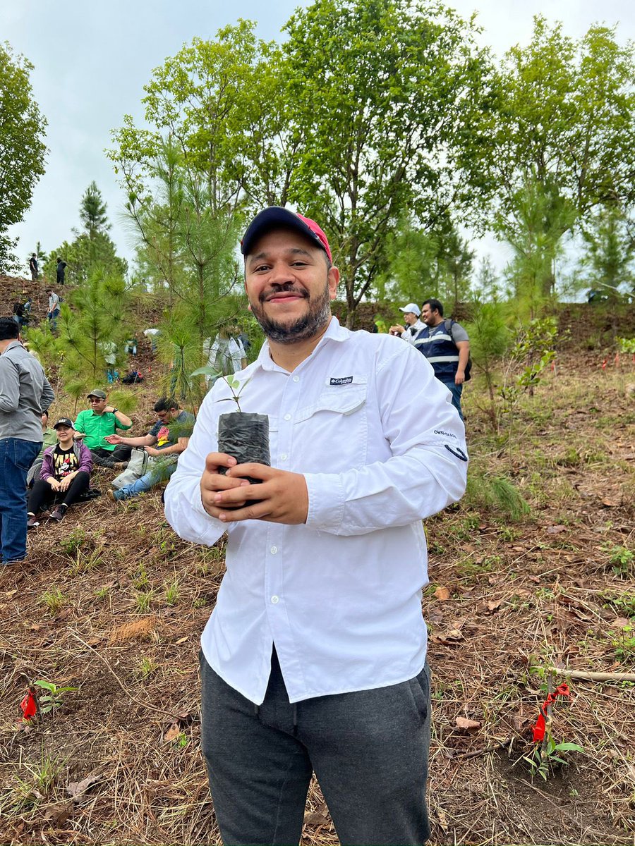 AduanasHonduras's tweet photo. 1/3 🌳 Aduanas Honduras, siembra esperanza para el futuro.

Por segundo año consecutivo 200 colaboradores se sumaron a la reforestación de 400 árboles de Encino y Roble en el Refugio de Vida Silvestre Suyapa, Luis Hernán Baca Valladares, MERO, en las faldas del cerro Triquilapa. https://t.co/U6ZsPFRzs2