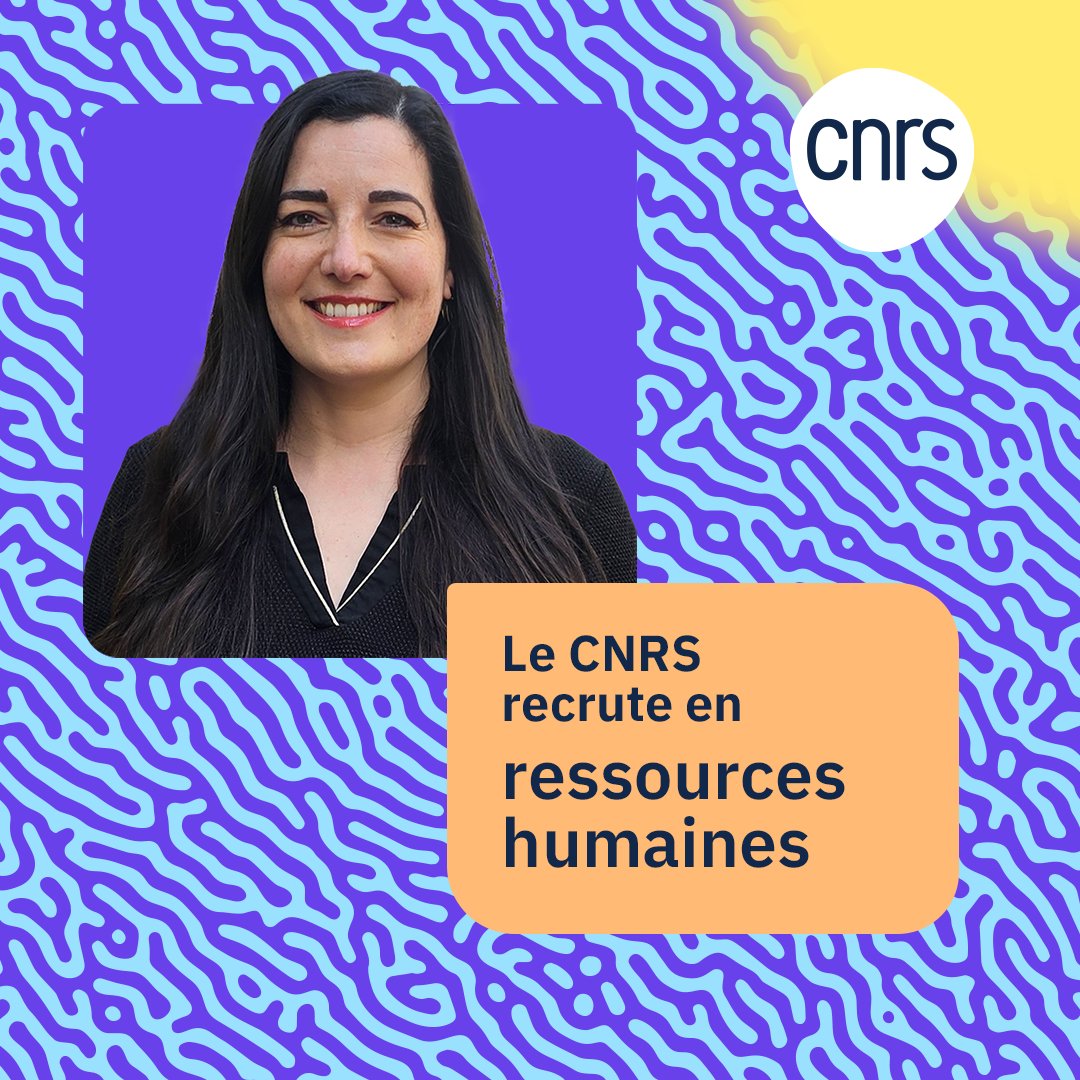 CNRS Alsace (@cnrs_alsace) on Twitter photo #RejoignezleCNRS La délégation du <a href="/CNRS_Alsace/">CNRS Alsace</a> recrute 1 Assistant-e des ressources humaines à #Strasbourg #CampusCNRSCronenbourg
Fiche de poste ▶️ bit.ly/4cfDtYK
Site national des concours ▶️ alsace.cnrs.fr/fr/cnrsinfo/co… #RejoignezleCNRS La délégation du <a href="/CNRS_Alsace/">CNRS Alsace</a> recrute 1 Assistant-e des ressources humaines à #Strasbourg #CampusCNRSCronenbourg
Fiche de poste ▶️ bit.ly/4cfDtYK
Site national des concours ▶️ alsace.cnrs.fr/fr/cnrsinfo/co…