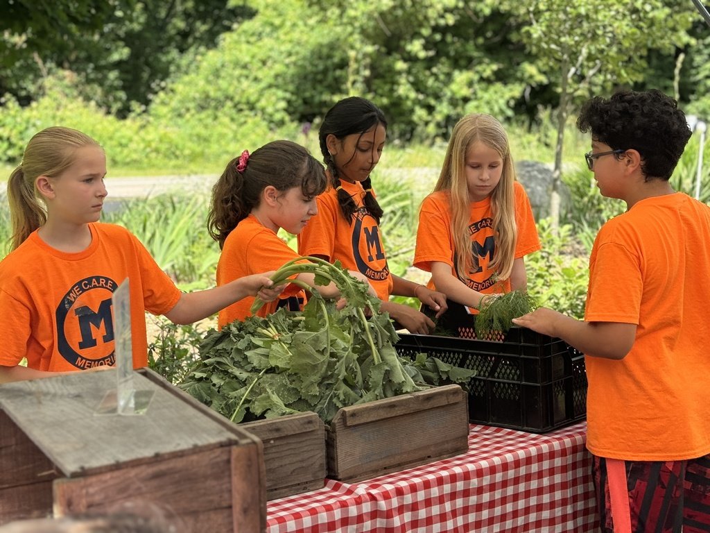 Burke-Memorial tweet media