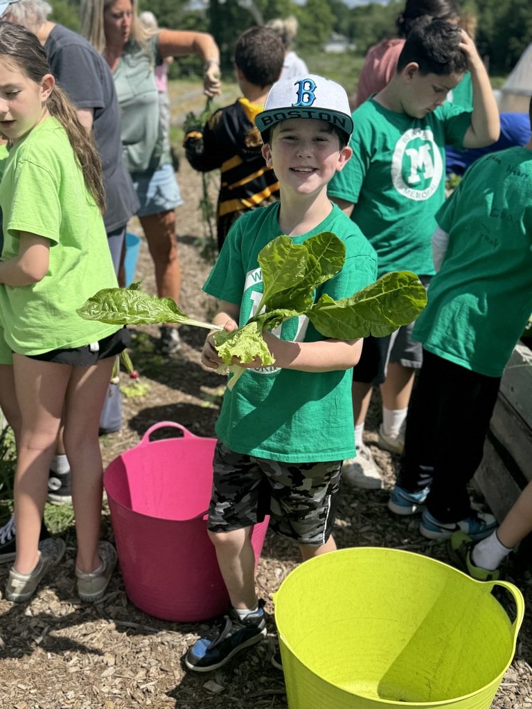 Burke-Memorial tweet media