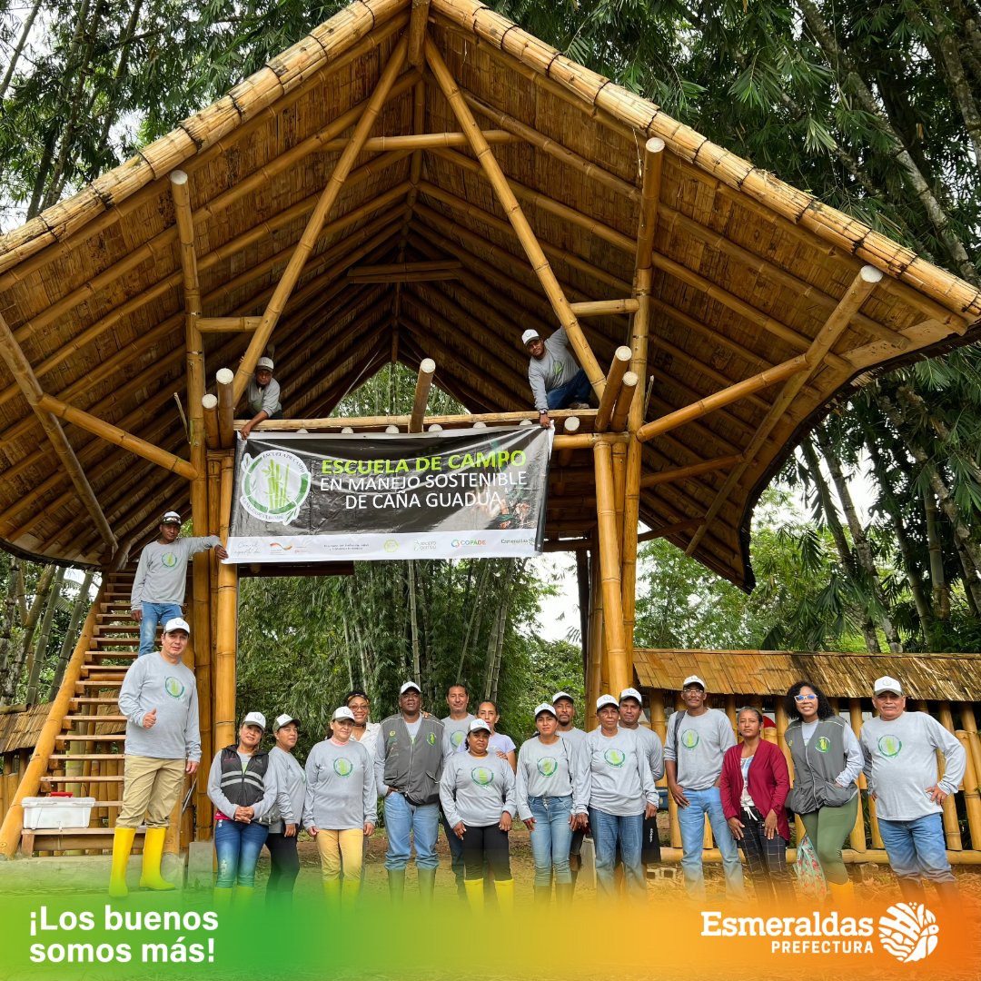 PrefecturaESM's tweet photo. #EscuelasDeCampo | 📚🎋 En la parroquia Pedro Vicente Maldonado, se llevo a cabo una gira de aprendizaje y observación a una plantación de Bambú gigante, siendo beneficiados estudiantes de la III y IV Escuela de Campo en Manejo Sostenible de Caña Guadua.

#LosBuenosSomosMás https://t.co/mNwRxeR2dw