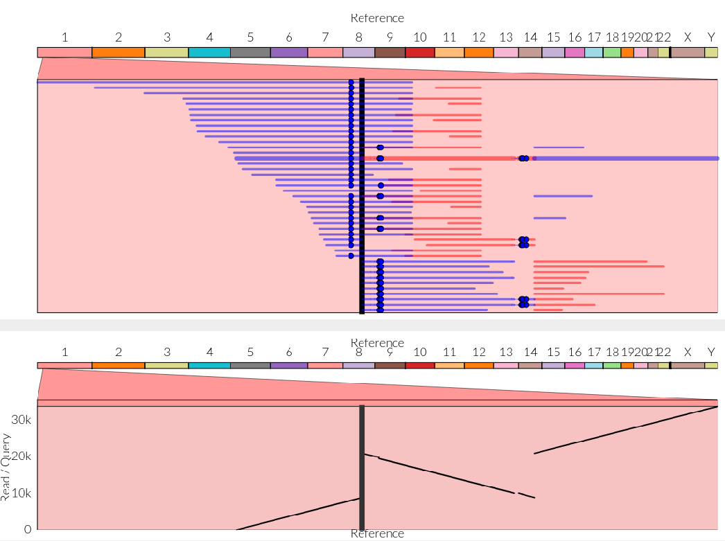 🚀🧬Our first long-read #HiFi human genomes have been sequenced in #Rouen, France!
Blown away by the data quality and all-inclusive bioinformatics pipeline producing phased, methylation resolved data &amp; a powerfull detection of all types of variants 🤯 <a href="/PacBio/">PacBio</a> <a href="/GJRNicolas/">Gaël Nicolas</a>