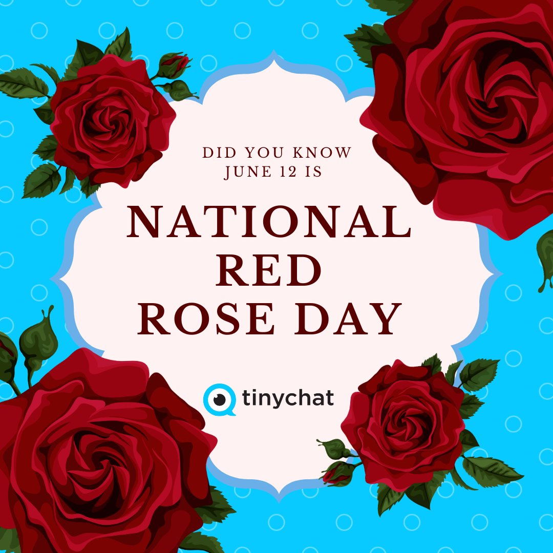 tinychat's tweet photo. Send a virtual red rose to someone special on tinychat today! πΉβ€οΈ #RedRoseDay #StayConnected #NationalRedRoseDay #tinychat #tinychatvideo https://t.co/y1ZRIMdzsZ