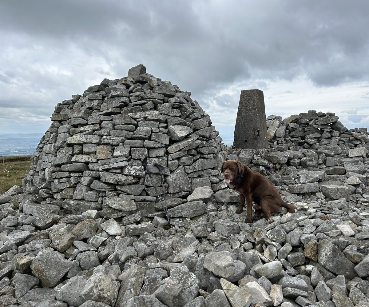Northlakesuk's tweet photo. Wednesdays tea time bait stop on Cold Fell the last mountain on the Pennine chain #coldfell itโs living up to its name itโs bloody cold up here considering itโs Flaming June https://t.co/Udf87JQwyB