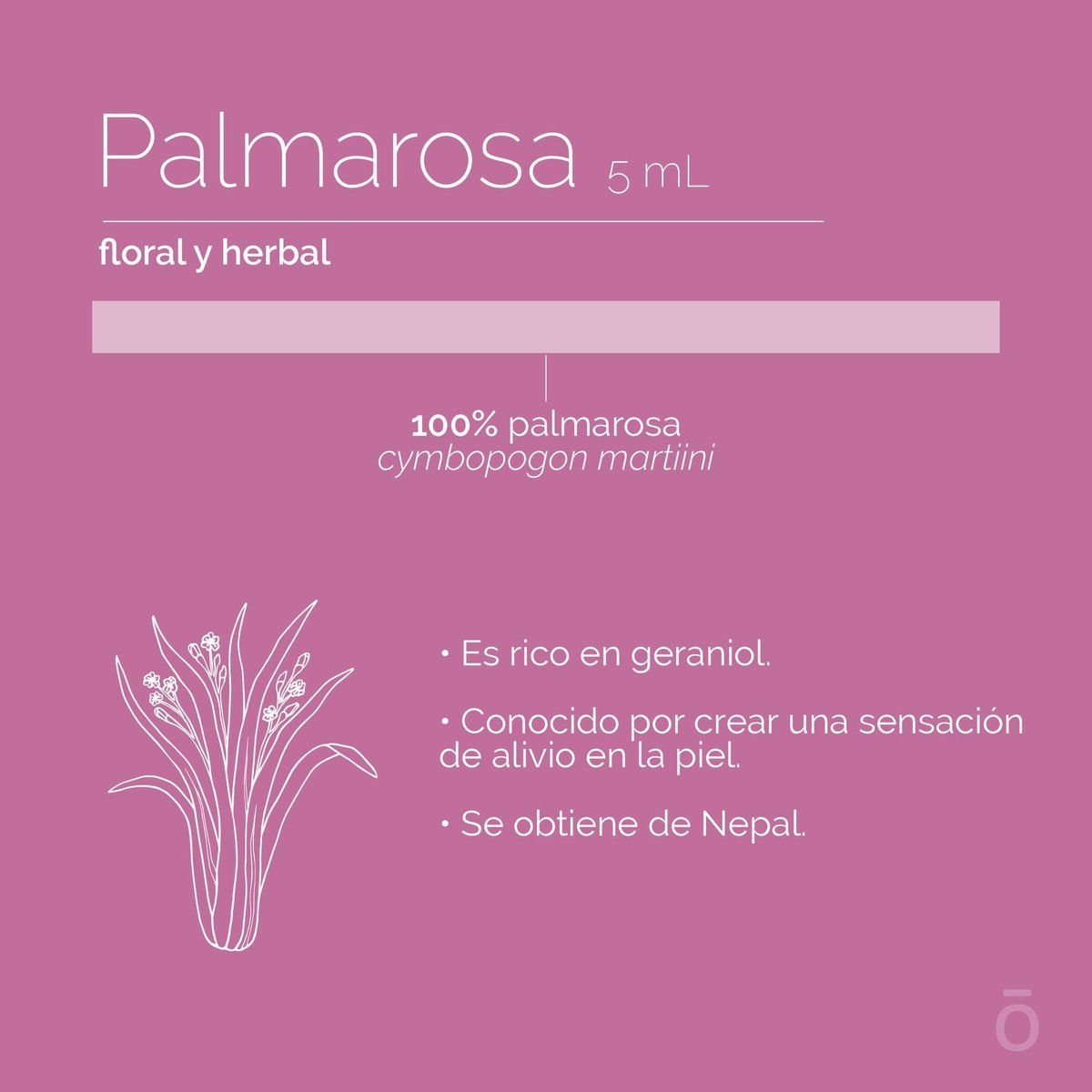 doTERRAMXof's tweet image. Enamórate de la deliciosa Palmarosa 💗💗💗 con esta #AnatomíaDeProducto. Palmarosa es el aceite esencial herbal con olor a flores que Revitaliza tu Piel y tu Bienestar 🌸🌸🌸