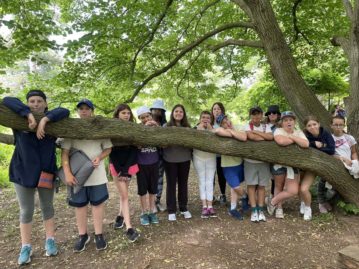 mrspilozzi's tweet image. RBG trip. 🌻Creating art in nature, plants, and natural habitats. @SJPIIOakville @HCDSBPathways
