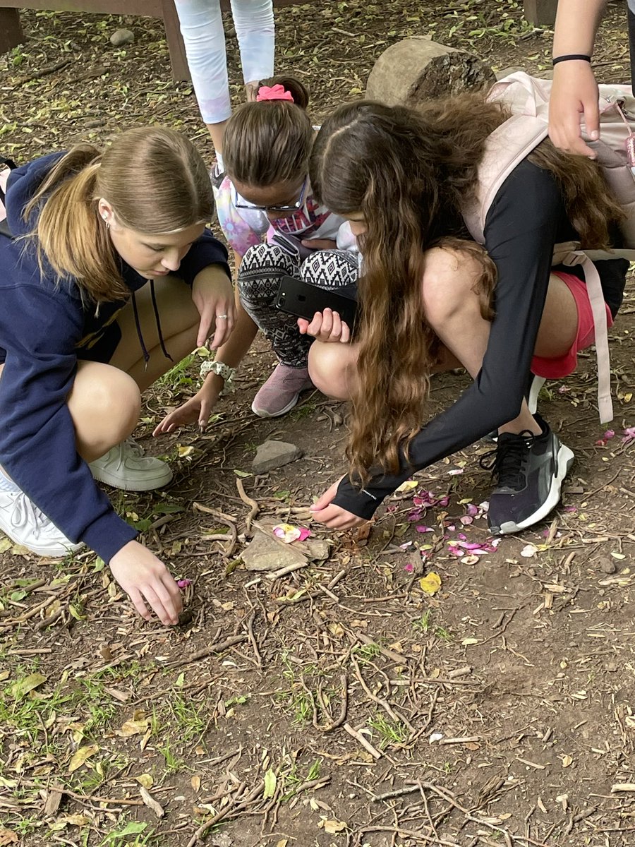 mrspilozzi's tweet image. RBG trip. 🌻Creating art in nature, plants, and natural habitats. @SJPIIOakville @HCDSBPathways