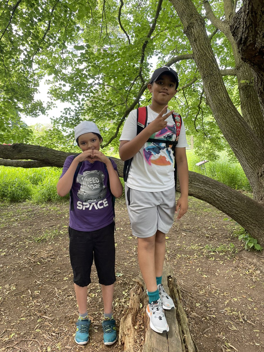 mrspilozzi's tweet image. RBG trip. 🌻Creating art in nature, plants, and natural habitats. @SJPIIOakville @HCDSBPathways