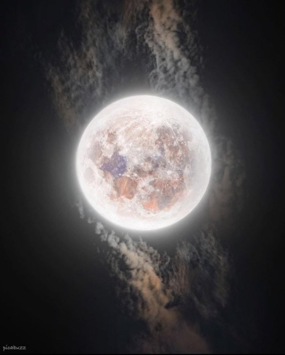 MOON LOVER tweet media