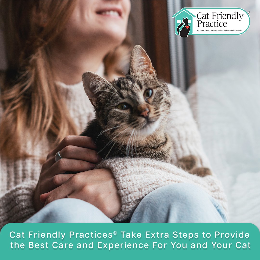 CatVets's tweet photo. When you visit a Cat Friendly Practice®, you can expect the veterinary team to understand your cat's needs and behaviors. They provide a Cat Friendly environment, making visits more comfortable. Learn more at https://t.co/C0UWwwWOte.
#CatFriendlyHomes #CatFriendlyPractice https://t.co/8ofy9LeNNe