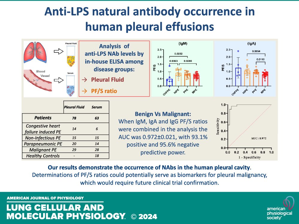 AJPLung's tweet image. ➡️Many different illnesses are caused by excess fluid accumulation in the #pleural cavity. Read how Sarrigeorgiou et al  highlight the role of anti-LPS #NAbs &amp;amp; demonstrate the potential translational impact yet to be discovered. 

ow.ly/kPYQ50SfBMV