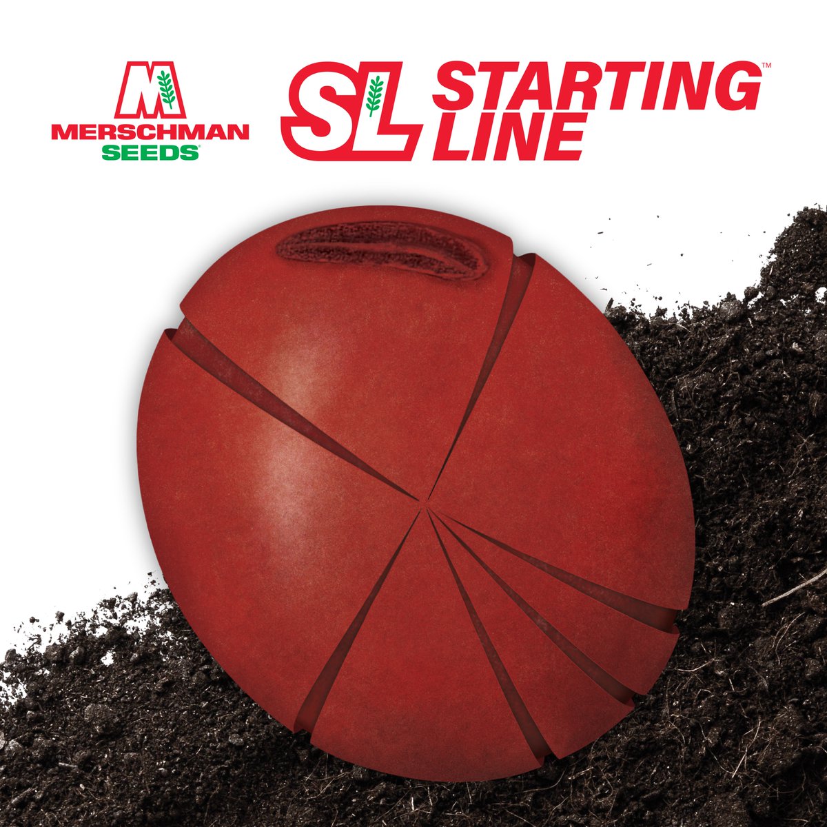 Curious about our Starting Line Soybean Seed Treatment? Check out our interactive guide to see everything that goes into our seed treatment with maximum yield potential in mind: bit.ly/3IcVavK