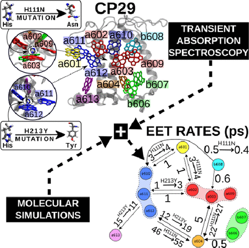 Molecolab Pisa tweet media