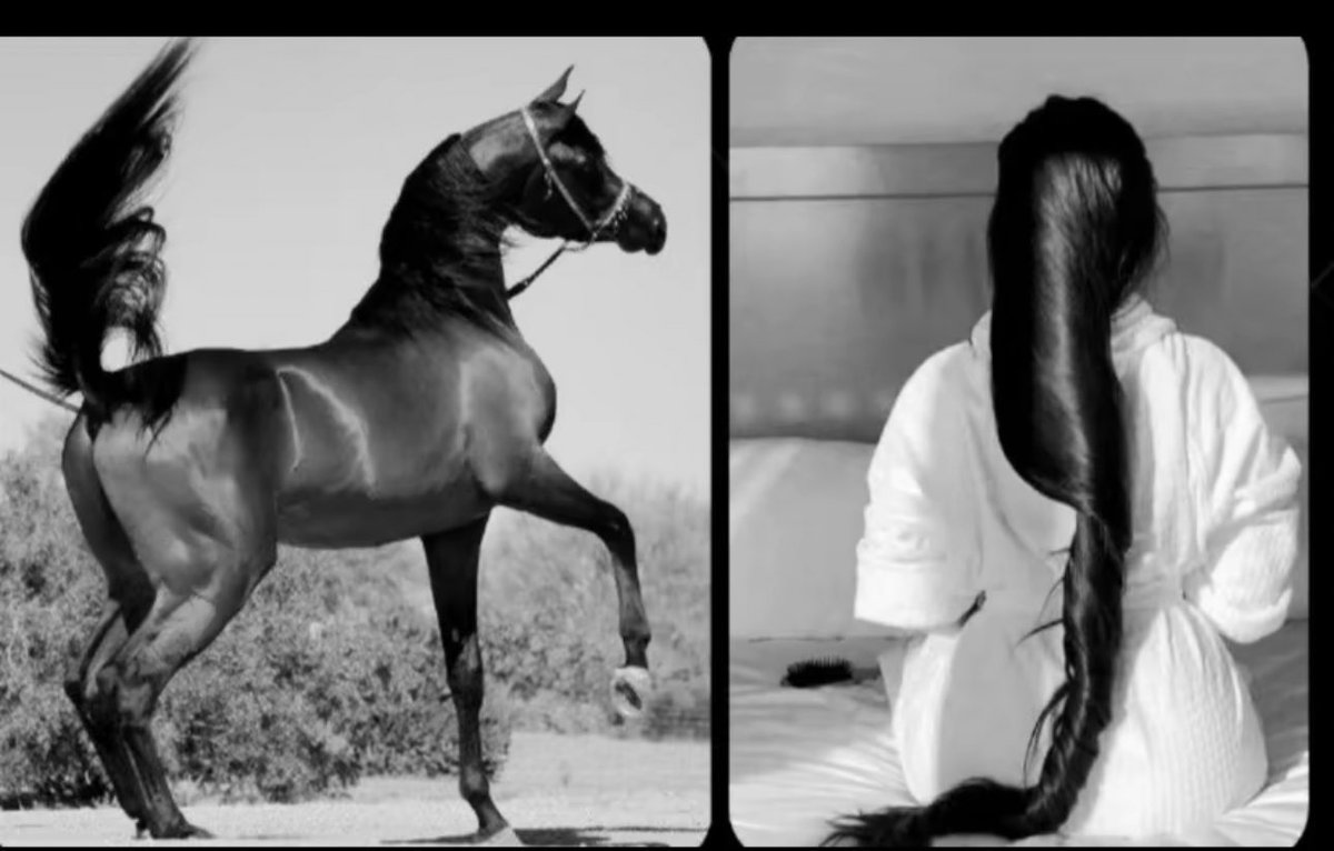 إليا أقبلت قام يتكفكف دجاء الليل
كـل الـديـار الـمـظلـمة نـورتـها
.
وإليا أدبرت غطت جسدها المجاديل
بـيـن الخـلايق لو تعـرى كـستها
.
إن كفته مثل الغصون المحاميل
وإن فـلتـه قـام يتـثـنى تحـتها