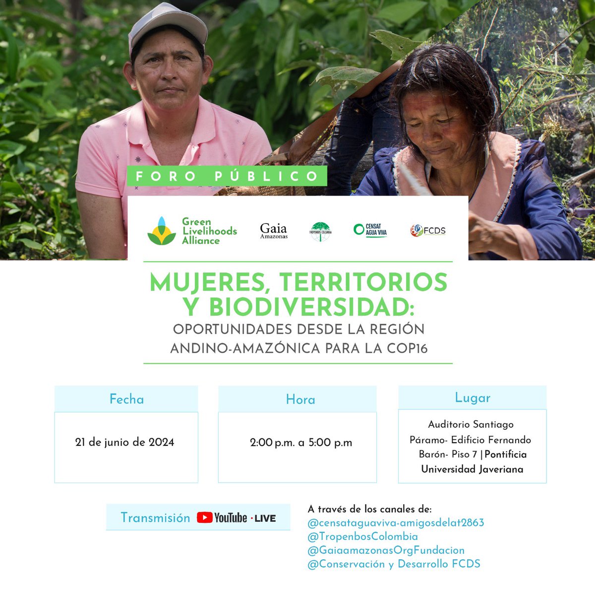 Censat Agua Viva tweet media