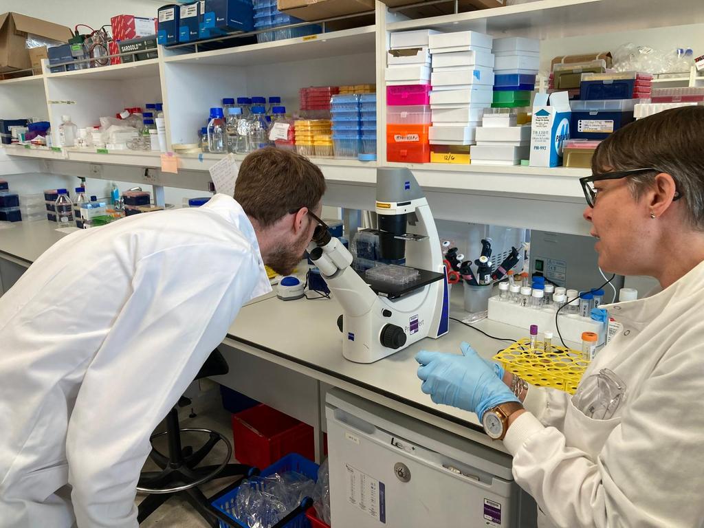 Blood Cancer UK Research tweet media