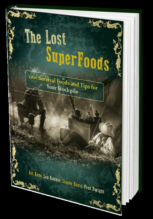 Here’s just a small glimpse of what you’ll find in 
The Lost SuperFoods:
It contains only long lasting foods that can be stored without refrigeration
This lost survival food knowledge is so organized that anyone, even people with absolutely no prior ....

digistore24.com/redir/377301/h…
