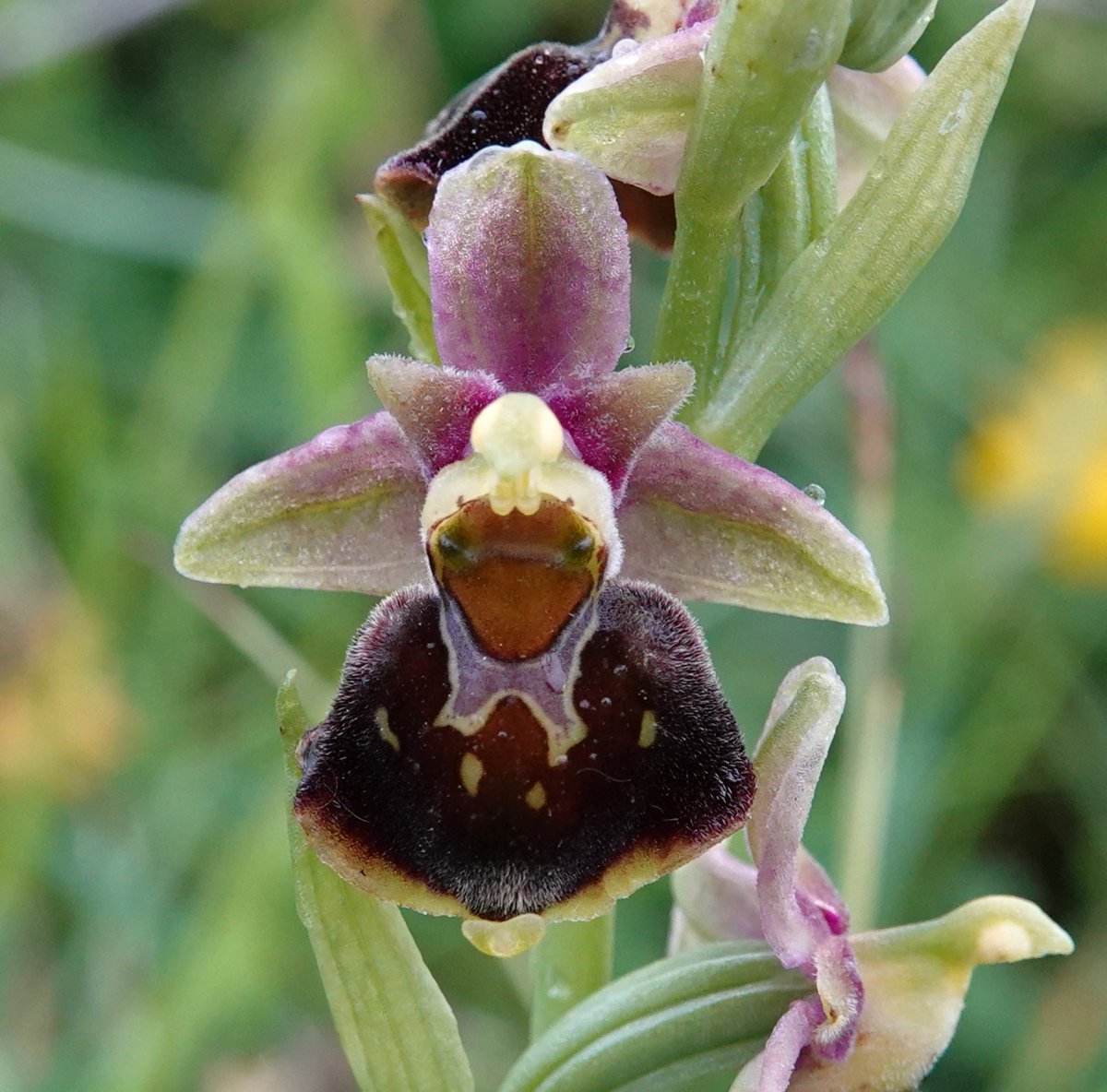 James Hunter tweet media