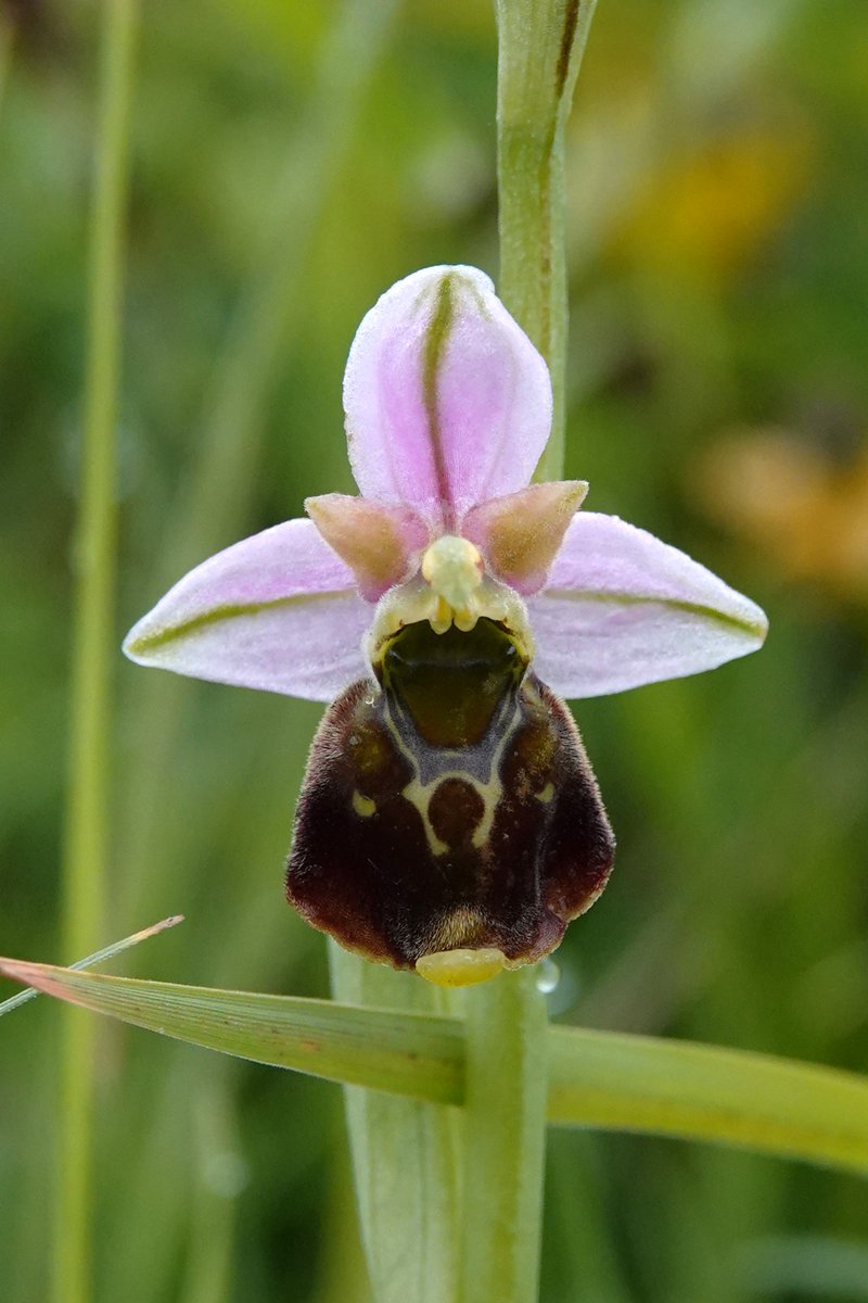 James Hunter tweet media