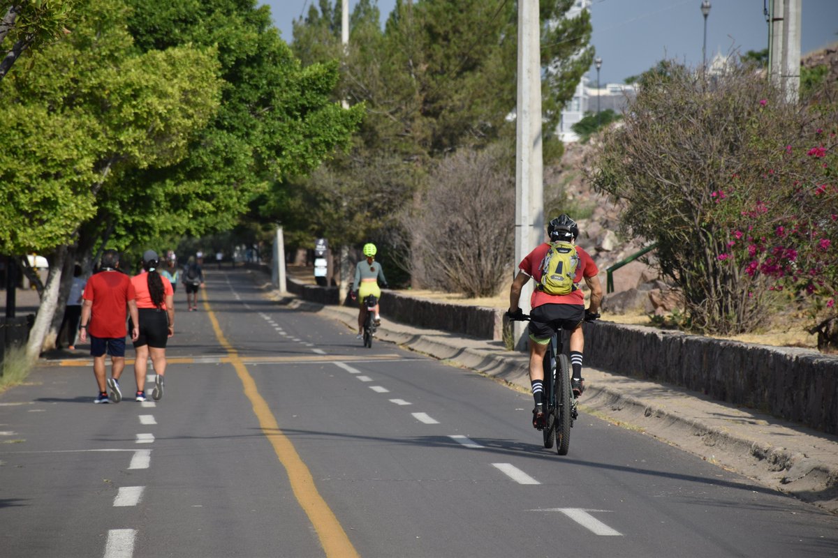 parkmetroleon's tweet photo. 🚴‍♂️🌳 ¡A pedalear en el Metro! 🌳🚴‍♀️
Mantente en movimiento y despeja tu mente. Pedalear en el circuito de 7 km del parque es el plan perfecto para convivir con la naturaleza y hacer ejercicio.
Utiliza el equipo de seguridad y respetar el límite de velocidad. #ElParqueEsDeTodos https://t.co/JLUA74d56E