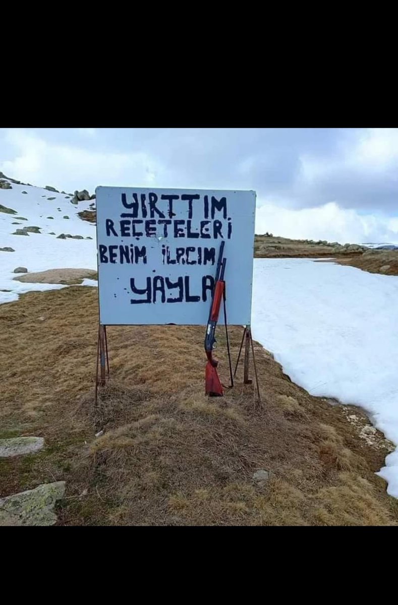 Adam güdeceğime davar gütsem itibarımız dağda daha çok olur