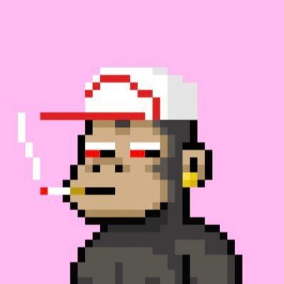 Jace_btc's tweet photo. Check out this smoking monkey in a white cap! 🐒🧢🚬 Looks like this monkey’s got some serious style and attitude! 😎✨ https://t.co/6r9OQwvnJT